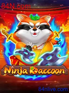 NinjaRaccoon